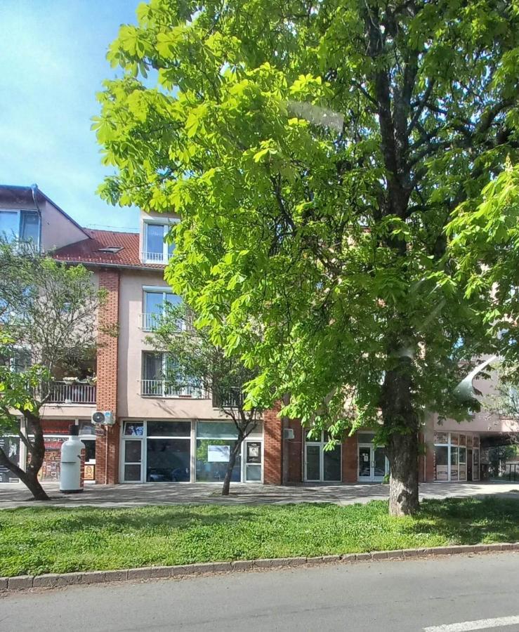 Rozsa Apartman Keszthely Luaran gambar